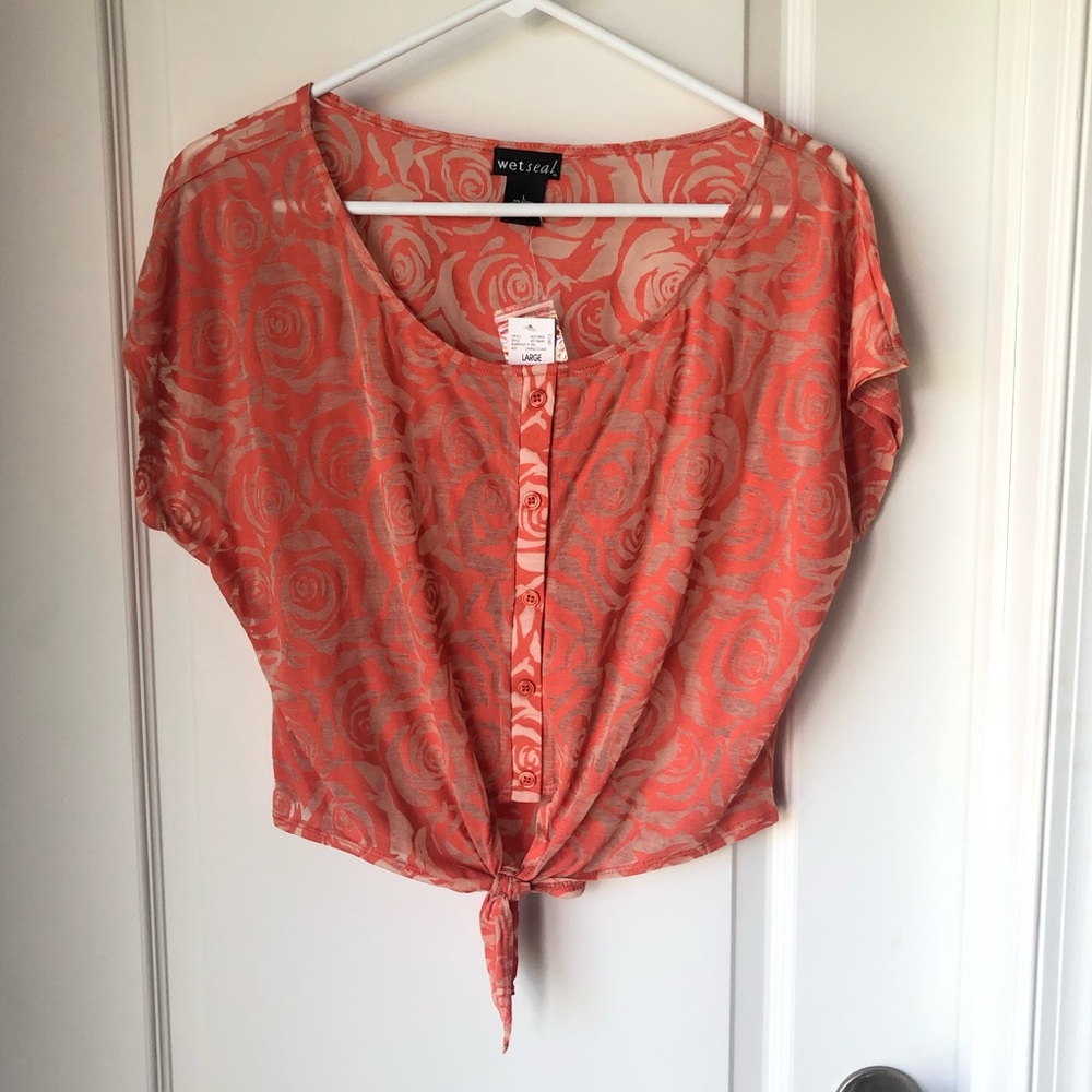 🚨2 for $20🚨 Sheer Rosebud Top (L)